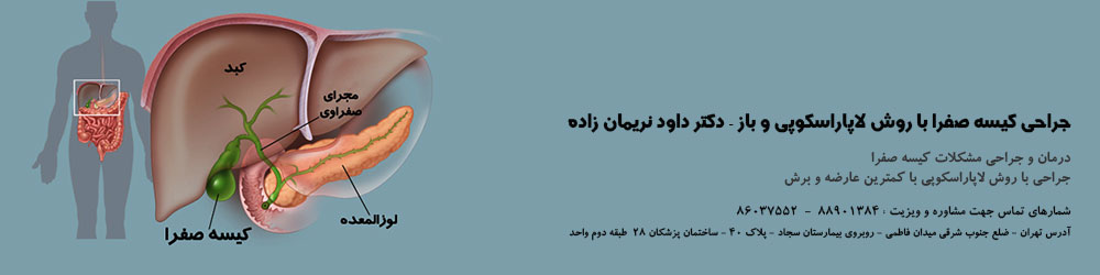 بهترین جراح کیسه صفرا - جراحی کیسه صفرا